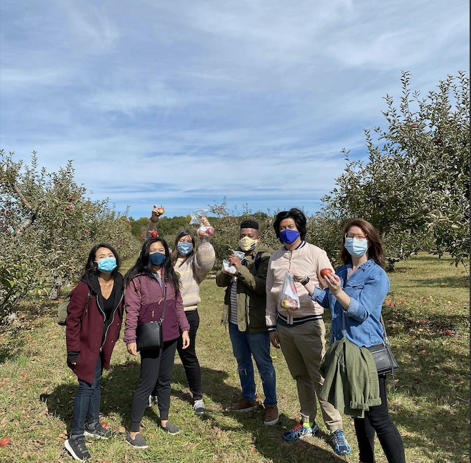 apple picking