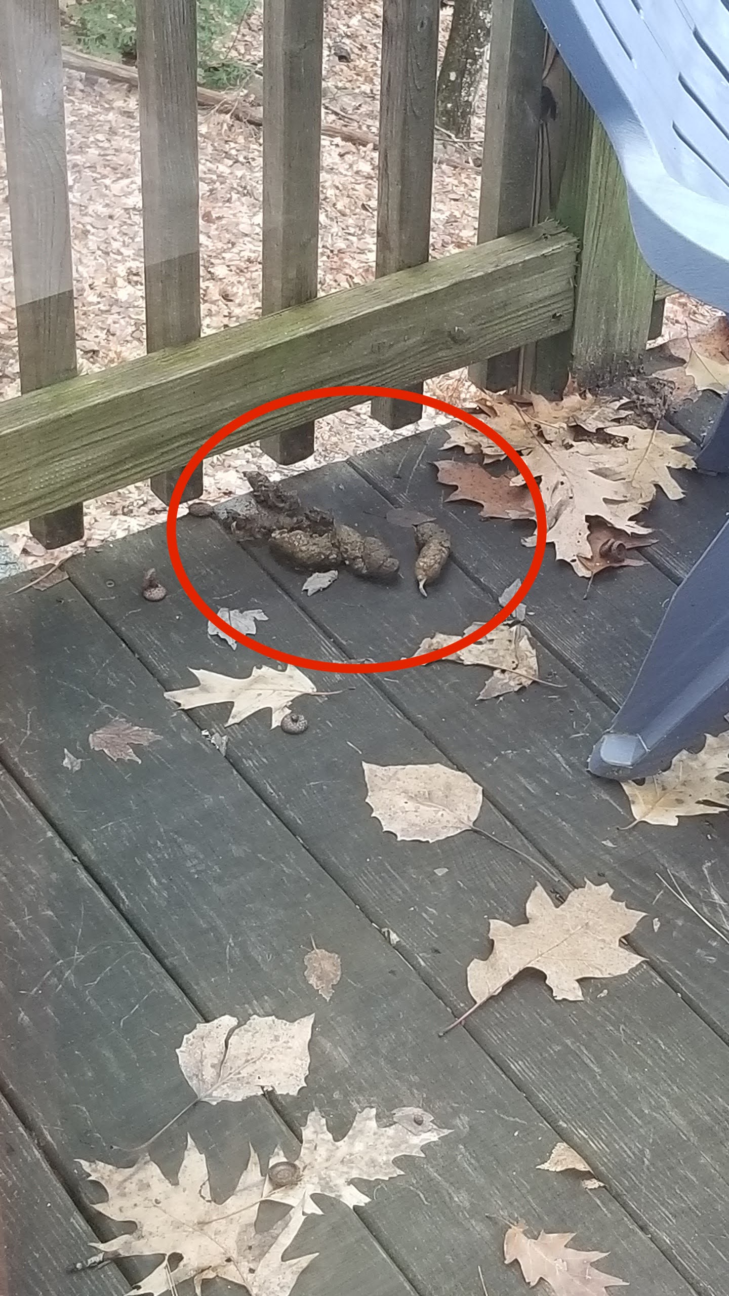 poop on deck